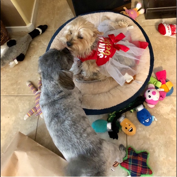 🌸🌸Meet your Posher, Sandra Lee🌸🌸💕. - Picture 8 of 16